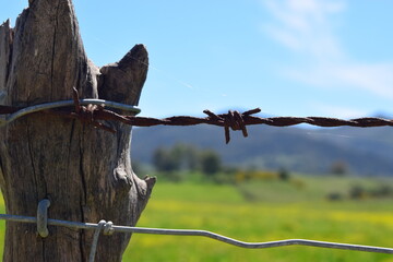 barbed wire fence
