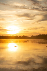 Fototapeta premium Sunrise in the Pantanal, Brazil