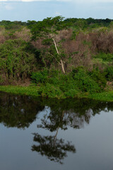 Pantanal, Brazil