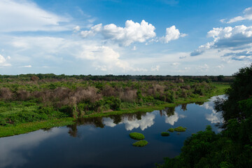 Naklejka na ściany i meble Pantanal, Brazil
