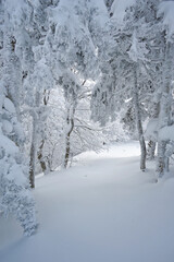Gambarie, Reggio Calabria district, Calabria, Italy, Europe,  Mount Scirocco landscape 1660 mt