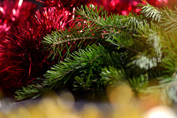 Background with coniferous branches of fir and pine, yellow and red tinsel for decorating the New Year tree, the background is blurred.