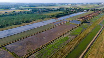 Aerial view of agricultural land in thailand