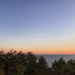 Obraz premium 달 나무 바다 노을