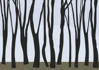 Vector abstract horizontal banner with many tree trunks (deciduous forest). © Karolna
