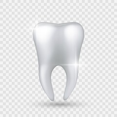 Shiny tooth. Realistic healthy clear white tooth isolated on transparent background, enamel whitening in dental clinic, dentist hygienist or orthodontic treatment oral care vector 3d object