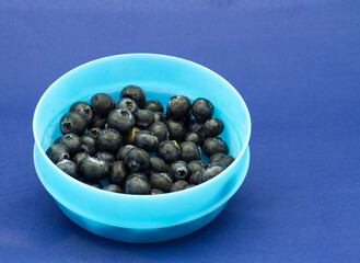 Blueberries in a blue bowl isolated on a blue background - one dominant color concept