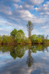 Fototapeta premium Spring landscape reflected in water