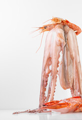 Seafood Crabs, Shrimp, Octopus