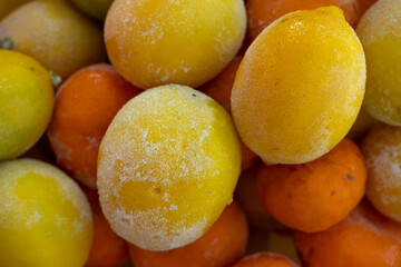 frozen in ice and snowflakes ripe yellow and green lemons close-up, selective focus