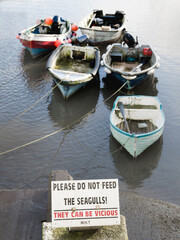 Do not feed the seagulls