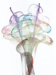 Obraz premium Art abstract flowers .Hand watercolor painting on paper.