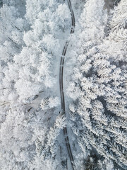 Snowy Road