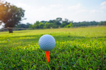 Golf ball on tee in the evening golf course with sunshine background.