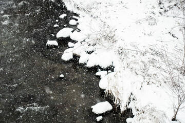 snow water ant stones
