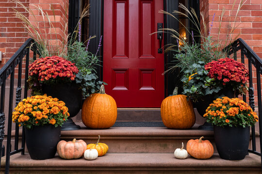 Colorful Pumpkins and Flowers on the Stairs of an Old Brownstone Home in New York City during Autumn