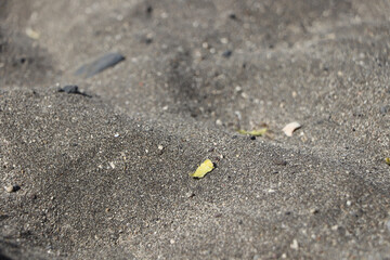 Waves crashing over the black sand and rocks on a beach in Tenerife