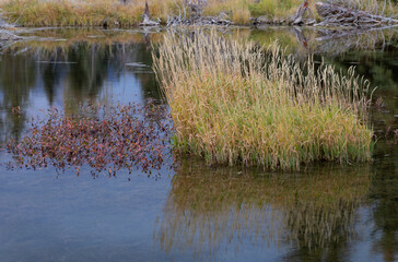 Scenic Reflection Landscape in the Tetons in Autumn