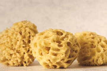 Natural bath sponges at bright background close-up. Object with perforations.
