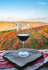 Glass of Portuguese red dry wine, produced in Douro Valley and old terraced vineyards on background in autumn, wine region of Portugal - obrazy, fototapety, plakaty