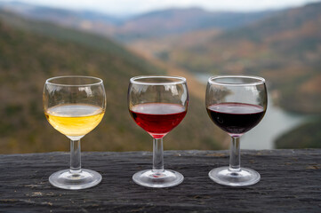 Tasting of Portuguese fortified port wine, produced in Douro Valley with Douro river and colorful terraced vineyards on background in autumn, Portugal