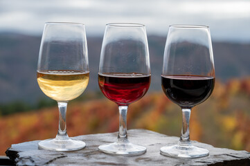 Tasting of Portuguese fortified port wine, produced in Douro Valley with colorful terraced vineyards on background in autumn, Portugal