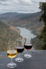 Tasting of Portuguese fortified port wine, produced in Douro Valley with Douro river and colorful terraced vineyards on background in autumn, Portugal