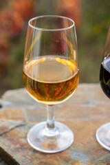 Tasting of Portuguese fortified port wine, produced in Douro Valley with colorful terraced vineyards on background in autumn, Portugal