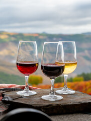 Tasting of Portuguese fortified port wine, produced in Douro Valley with colorful terraced vineyards on background in autumn, Portugal
