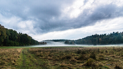 Morning mist. 