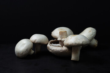 Champignons on a black background. White mushrooms. Natural product. Healthy food.