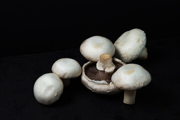 Champignons on a black background. White mushrooms. Natural product. Healthy food.