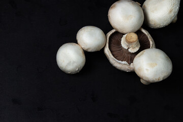 Champignons on a black background. White mushrooms. Natural product. Healthy food.