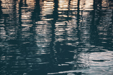 reflection of the trees in the water of the swimming pool