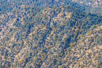 Aerial view of the coniferous forest in the Taurus mountains, Turkey