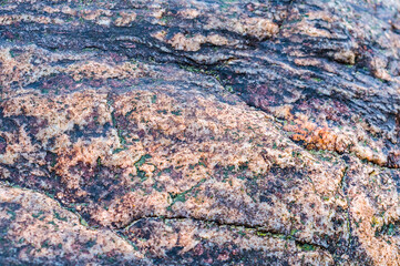 Sea stone texture. Panel texture. Background fill. Natural stone background.