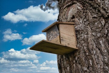 Mangeoire à oiseaux