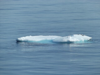 Naklejka na ściany i meble icebergs in the disco bay near ilulissat, greenland