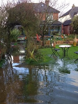 Landscape of flooded garden with pools of water on grass lawn and along rose arch towards house with sky reflected in rippling pond, plants trees and house in background in Winter