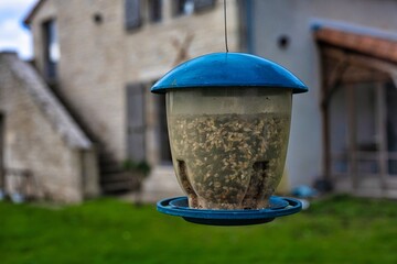 Mangeoire à oiseaux