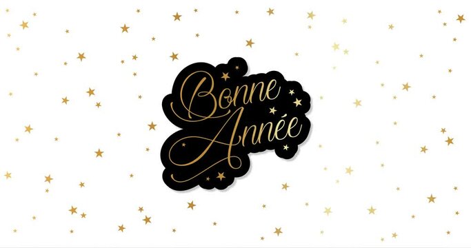 Happy New Year celebration card with fireworks for mailing, web invitation, greeting cards&hellip; animation made in 4K vector design. White background and french text : BONNE ANNEE