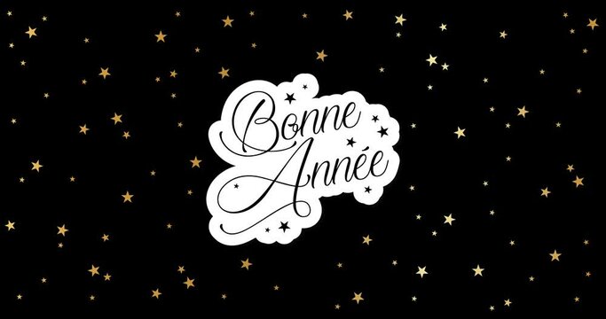 Happy New Year celebration card with fireworks for mailing, web invitation, greeting cards&hellip; animation made in 4K vector design. Black background and french text : BONNE ANNEE