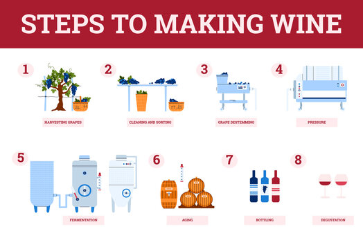 Wine making process steps-from harvest grapes to natural grape red wine. Traditional production of alcohol beverages in winery on winemaking equipment. Banner with infographics.