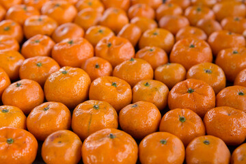 Autumn, Dessert, Food, Food and Drink, Season