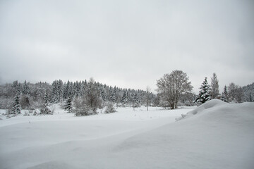 KRASNO POLJE, CROATIA, December 2020 - Beautiful winter day on the mountain. Meadow and coniferous trees covered with snow. Cloudy day.