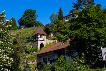 Fototapeta premium Neckarhaldentorturm, Esslingen am Neckar, Baden-Württemberg