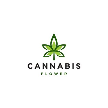elegant marijuana logo vector design,
hemp cannabis weed leaf logo line icon vector simple modern art