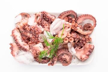 octopus boiled on white tray with dill