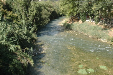 Cauce  rio Mundo
