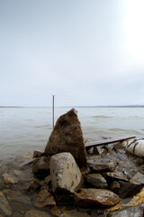 stones on a background of water. Scenery